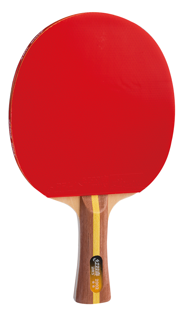 DHS table tennis bat pre-made H3002 - DXES013-1