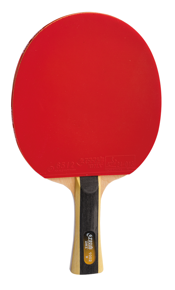 DHS Ready-to-Use Bat H1002 - DXES021-1