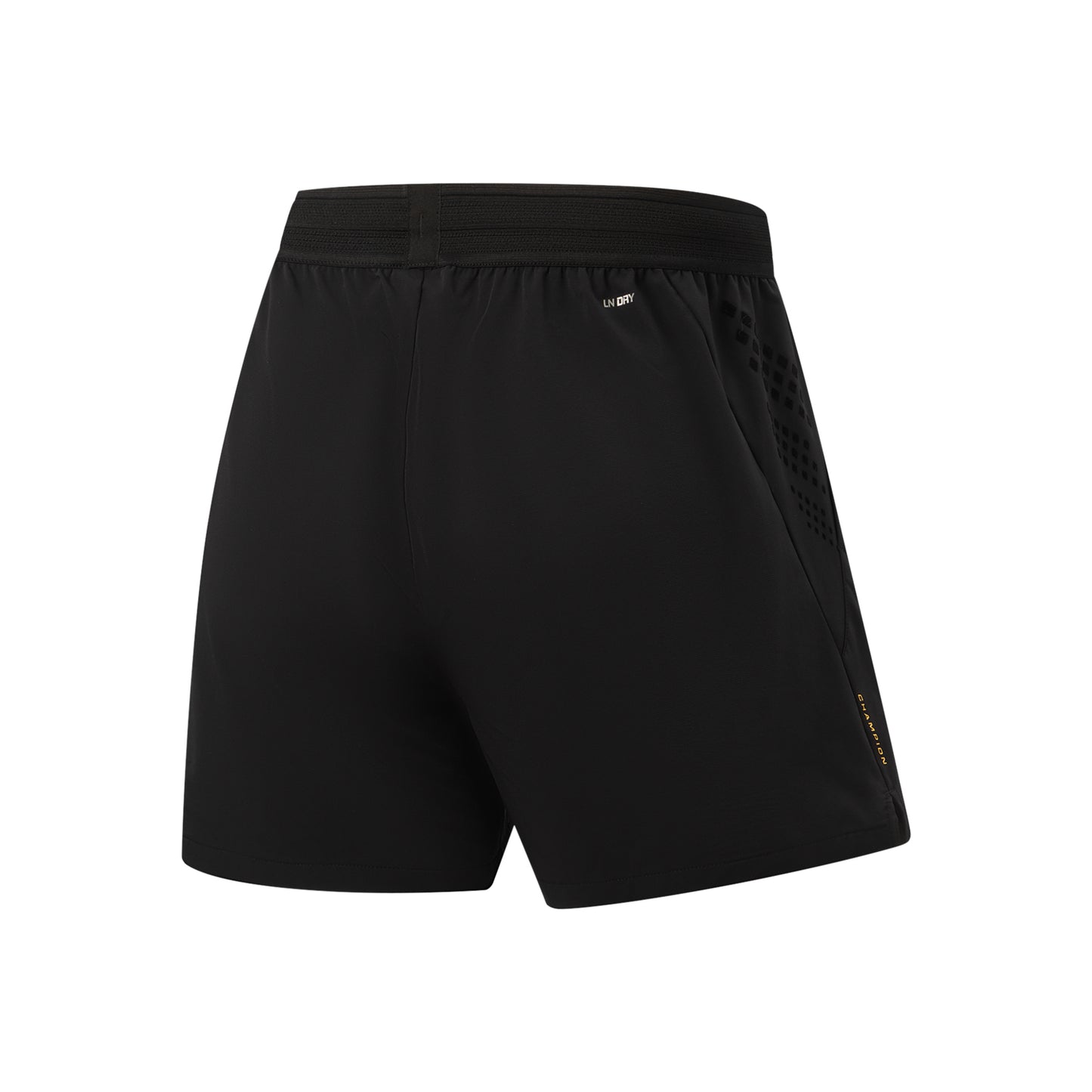 Tabletennis Shorts Shadow Dragon - black - AAPW011-1