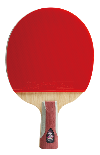 DHS Chen Meng Pre made Racket H6006 Penholder - DXES039-1